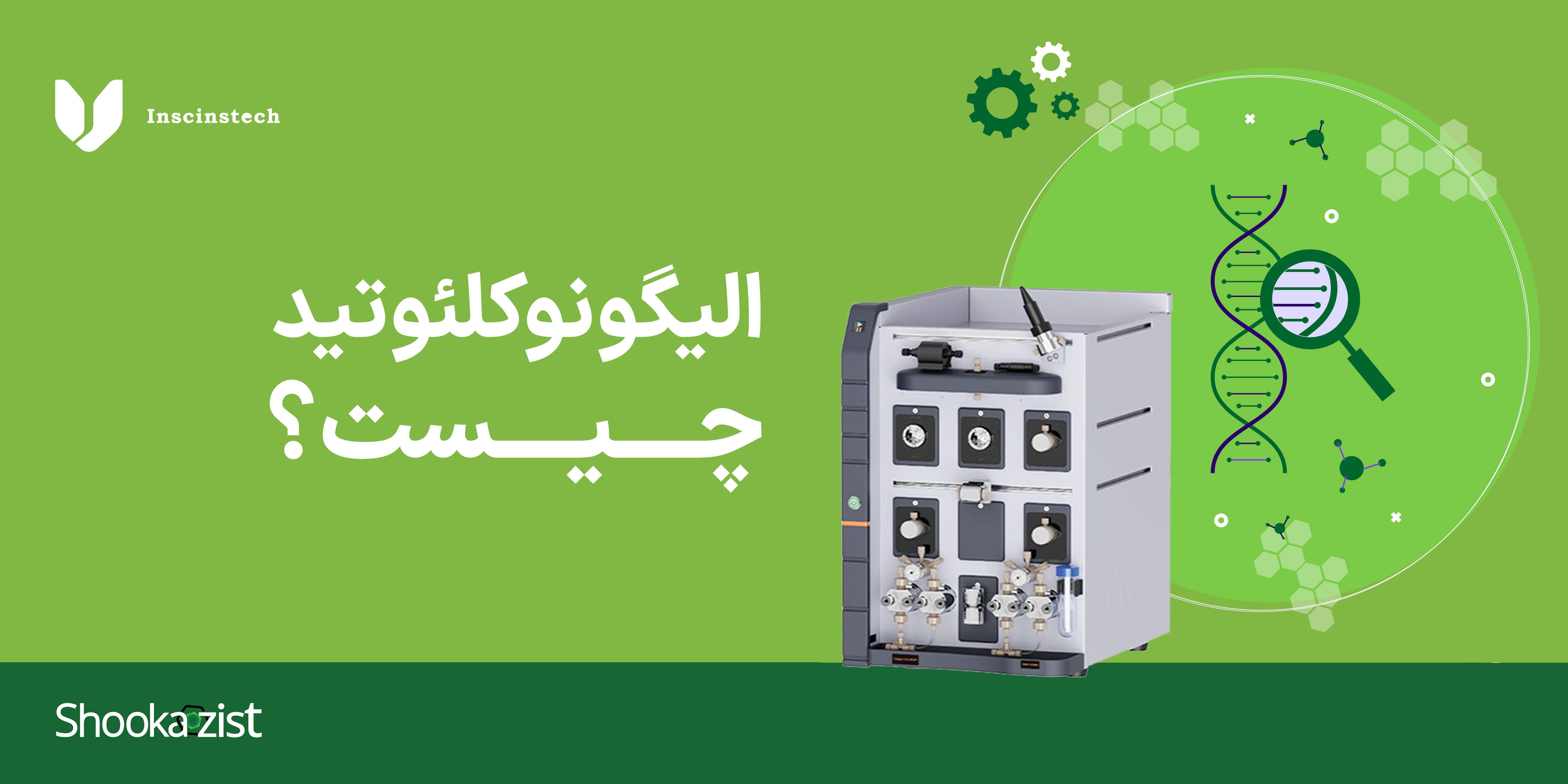 الیگونوکلئوتید چیست؟